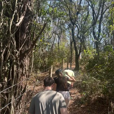 COPA NOVA SAFRA 2025